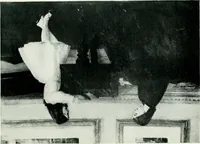 An illustration from Adventures among pictures (1904)