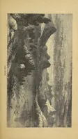 Picture 14 of 17 from Adventures in the Apache country : a tour through Arizona and Sonora : with notes on the silver regions of Nevada (1869), leaf 433