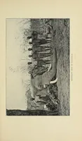 An illustration from The adventures of an elephant hunter (1912)