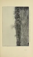 An illustration from The adventures of an elephant hunter (1912)