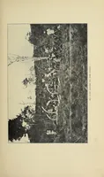 An illustration from The adventures of an elephant hunter (1912)