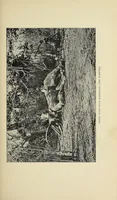 An illustration from The adventures of an elephant hunter (1912)