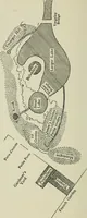 An illustration from An adventure, with appendix and maps (1913)