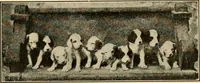 An illustration from Advertising and selling : principles of appeal and response (1913)