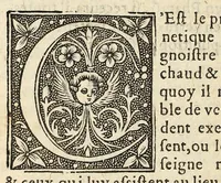 An illustration from Advertissement aux catholiques, sur la bulle de nostre sainct Pere, touchant l'excommunication de Henry de Valois. Auec plusieurs exemples des punitions estranges & merueilleux iugements de Dieu, sur les excommuniez ... (1589)
