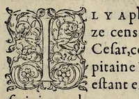An illustration from Advertissement svr la favlsete de plusieurs mensonges semez par les rebelles. (1562)