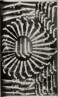 Picture 4 of 60 from A.E. Brooks's collection of antique guns, pistols, etc., Hartford, Conn (1899), leaf 29