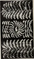 Picture 7 of 60 from A.E. Brooks's collection of antique guns, pistols, etc., Hartford, Conn (1899), leaf 39