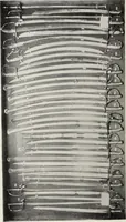 An illustration from A.E. Brooks's collection of antique guns, pistols, etc., Hartford, Conn (1899)