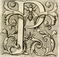 Picture 48 of 84 from Aedes Barberinae ad Quirinalem (1642), leaf 118