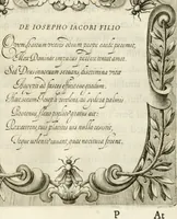 Picture 59 of 84 from Aedes Barberinae ad Quirinalem (1642), leaf 152