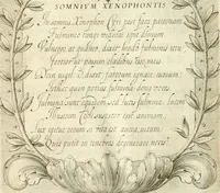 Picture 62 of 84 from Aedes Barberinae ad Quirinalem (1642), leaf 155
