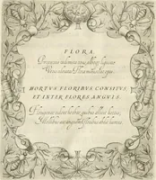 Picture 63 of 84 from Aedes Barberinae ad Quirinalem (1642), leaf 156