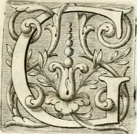 Picture 17 of 84 from Aedes Barberinae ad Quirinalem (1642), leaf 24