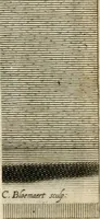 Picture 76 of 84 from Aedes Barberinae ad Quirinalem (1642), leaf 254