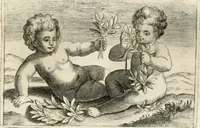 Picture 19 of 84 from Aedes Barberinae ad Quirinalem (1642), leaf 56