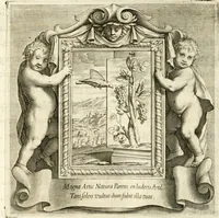 Picture 37 of 84 from Aedes Barberinae ad Quirinalem (1642), leaf 91