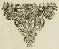 An illustration from Aenmerckingen over de Vereenighe Nederlandtsche Provintien (1673)