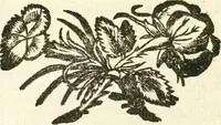 An illustration from Aerarium philosophiae mathematicae : in quo elementa philosophiae geometricae de planis, curuis, & solidis figuris applicata et ornata ... in tres tomos distributa sunt : intercessere ingeniosae inuentionis exodia horaria ... (1648)