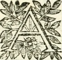 An illustration from Aerarium philosophiae mathematicae : in quo elementa philosophiae geometricae de planis, curuis, & solidis figuris applicata et ornata ... in tres tomos distributa sunt : intercessere ingeniosae inuentionis exodia horaria ... (1648)