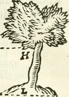 An illustration from Aerarium philosophiae mathematicae : in quo elementa philosophiae geometricae de planis, curuis, & solidis figuris applicata et ornata ... in tres tomos distributa sunt : intercessere ingeniosae inuentionis exodia horaria ... (1648)