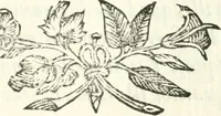 An illustration from Aerarium philosophiae mathematicae : in quo elementa philosophiae geometricae de planis, curuis, & solidis figuris applicata et ornata ... in tres tomos distributa sunt : intercessere ingeniosae inuentionis exodia horaria ... (1648)