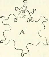 An illustration from Aerarium philosophiae mathematicae : in quo elementa philosophiae geometricae de planis, curuis, & solidis figuris applicata et ornata ... in tres tomos distributa sunt : intercessere ingeniosae inuentionis exodia horaria ... (1648)