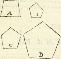 An illustration from Aerarium philosophiae mathematicae : in quo elementa philosophiae geometricae de planis, curuis, & solidis figuris applicata et ornata ... in tres tomos distributa sunt : intercessere ingeniosae inuentionis exodia horaria ... (1648)