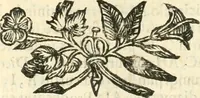 An illustration from Aerarium philosophiae mathematicae : in quo elementa philosophiae geometricae de planis, curuis, & solidis figuris applicata et ornata ... in tres tomos distributa sunt : intercessere ingeniosae inuentionis exodia horaria ... (1648)
