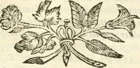 An illustration from Aerarium philosophiae mathematicae : in quo elementa philosophiae geometricae de planis, curuis, & solidis figuris applicata et ornata ... in tres tomos distributa sunt : intercessere ingeniosae inuentionis exodia horaria ... (1648)