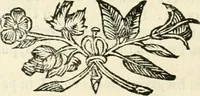 An illustration from Aerarium philosophiae mathematicae : in quo elementa philosophiae geometricae de planis, curuis, & solidis figuris applicata et ornata ... in tres tomos distributa sunt : intercessere ingeniosae inuentionis exodia horaria ... (1648)