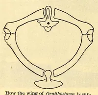Picture 5 of 16 from Aeronautical world (1902), leaf 158