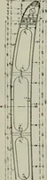 Picture 93 of 182 from Aeroplane construction and operation; including notes on aeroplane design and aerodynamic calculation, materials, etc. A comprehensive illustrated manual of instruction for aeroplane constructors, aviators, aero-mechanics, flight officers and students. Adapted either for schools or home study (1918), leaf 229