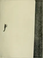 An illustration from The aeroplane in war (1912)