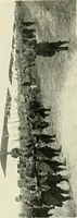 An illustration from Aëroplanes and dirigibles of war (1915)