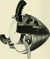 Picture 19 of 36 from Aëroplanes and dirigibles of war (1915), leaf 163