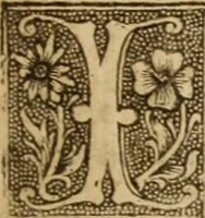 Picture 2 of 4 from An appeal to Caesar : wherein gold and silver is proved to be the kings majesties royal commodity .. (1660), leaf 8