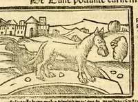 An illustration from Aesopi fabvlae cvm vvlgari interpretatione : et figuris nouissime omni cura, & diligentia emendatae (1557)