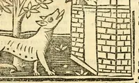 An illustration from Aesopi fabvlae cvm vvlgari interpretatione : et figuris nouissime omni cura, & diligentia emendatae (1557)