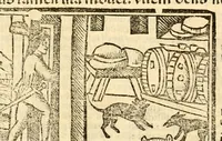 Picture 8 of 43 from Aesopi fabvlae cvm vvlgari interpretatione : et figuris nouissime omni cura, & diligentia emendatae (1557), leaf 28