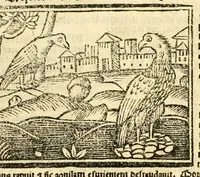 An illustration from Aesopi fabvlae cvm vvlgari interpretatione : et figuris nouissime omni cura, & diligentia emendatae (1557)