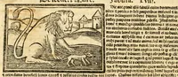 An illustration from Aesopi fabvlae cvm vvlgari interpretatione : et figuris nouissime omni cura, & diligentia emendatae (1557)