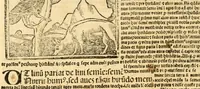 An illustration from Aesopi fabvlae cvm vvlgari interpretatione : et figuris nouissime omni cura, & diligentia emendatae (1557)