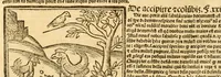 An illustration from Aesopi fabvlae cvm vvlgari interpretatione : et figuris nouissime omni cura, & diligentia emendatae (1557)