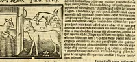 An illustration from Aesopi fabvlae cvm vvlgari interpretatione : et figuris nouissime omni cura, & diligentia emendatae (1557)