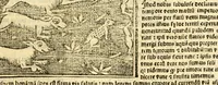 Picture 18 of 43 from Aesopi fabvlae cvm vvlgari interpretatione : et figuris nouissime omni cura, & diligentia emendatae (1557), leaf 43
