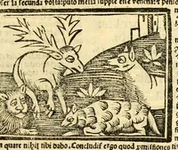 An illustration from Aesopi fabvlae cvm vvlgari interpretatione : et figuris nouissime omni cura, & diligentia emendatae (1557)