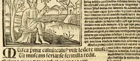 An illustration from Aesopi fabvlae cvm vvlgari interpretatione : et figuris nouissime omni cura, & diligentia emendatae (1557)