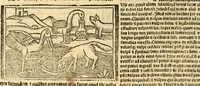 Picture 22 of 43 from Aesopi fabvlae cvm vvlgari interpretatione : et figuris nouissime omni cura, & diligentia emendatae (1557), leaf 46