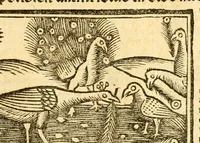 An illustration from Aesopi fabvlae cvm vvlgari interpretatione : et figuris nouissime omni cura, & diligentia emendatae (1557)